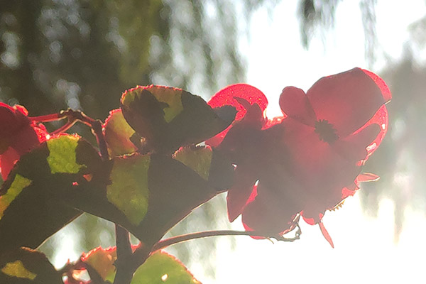 選擇飲料配方研發(fā)機構，更應該了解飲料配方研發(fā)技術實力！