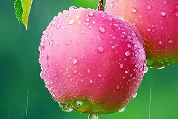 飲料產(chǎn)品設(shè)計中的關(guān)鍵注意事項