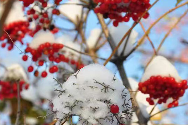 在飲料產(chǎn)品研發(fā)中關(guān)鍵的因素有哪些？