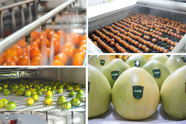 飲料研發(fā)新趨勢：新穎口味+健康功能